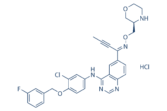 Epertinib hydrochloride