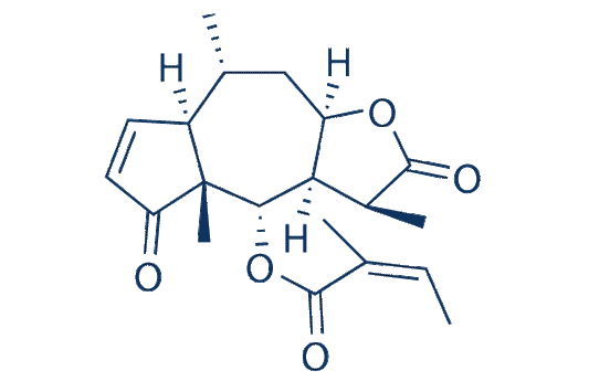Brevilin A