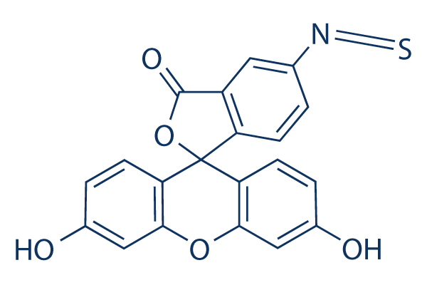 Fluorescein-5-isothiocyanate (FITC)