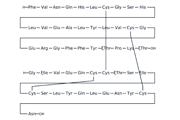 Insulin (human)