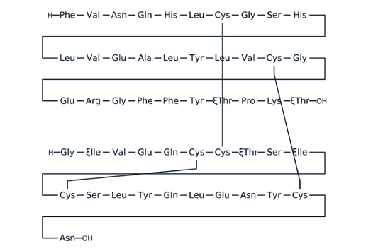 Insulin (human)