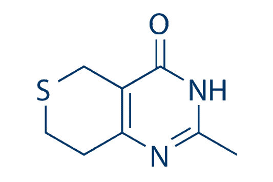 DR2313