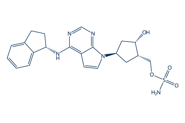 MLN4924 (Pevonedistat)