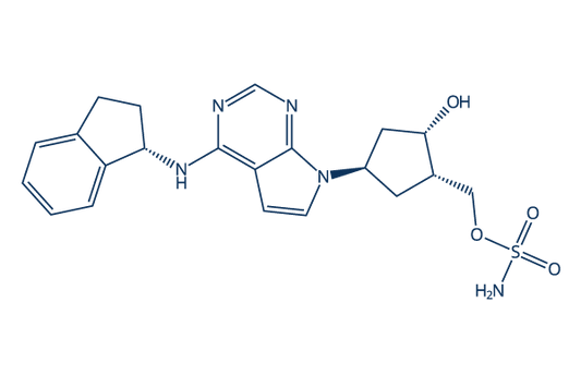 MLN4924 (Pevonedistat)