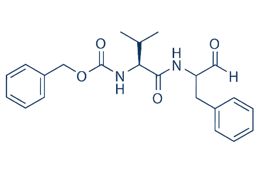 MDL-28170