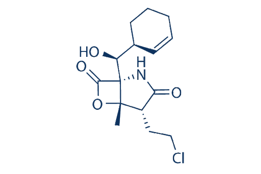 Marizomib (Salinosporamide A)
