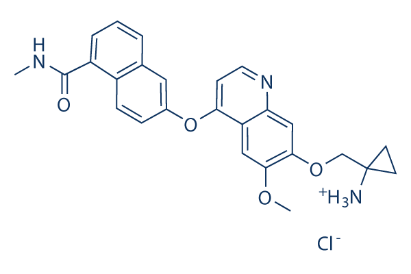 Lucitanib (E3810)hydrochloride