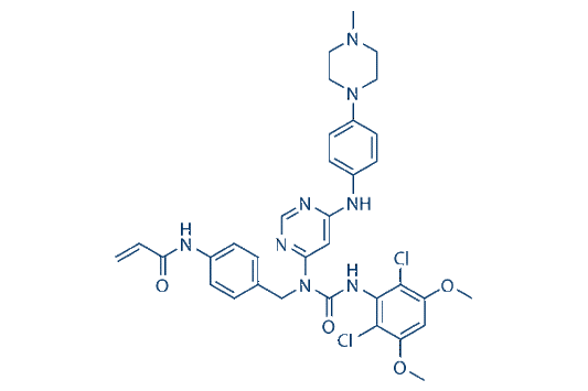 FIIN-3