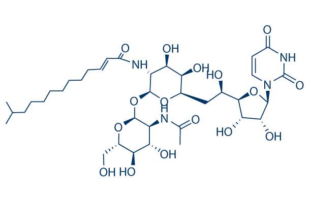 Tunicamycin