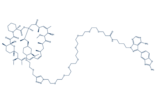 RapaLink-1