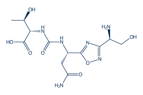 CA-170 (AUPM-170)