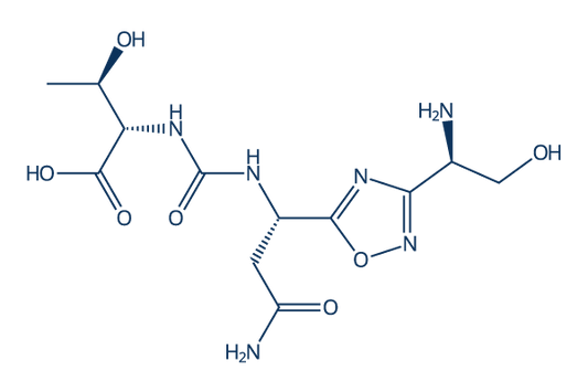 CA-170 (AUPM-170)
