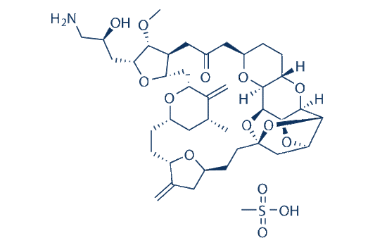 Eribulin Mesylate (E7389)