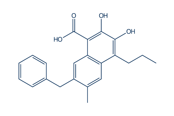FX-11 (LDHA Inhibitor FX11)