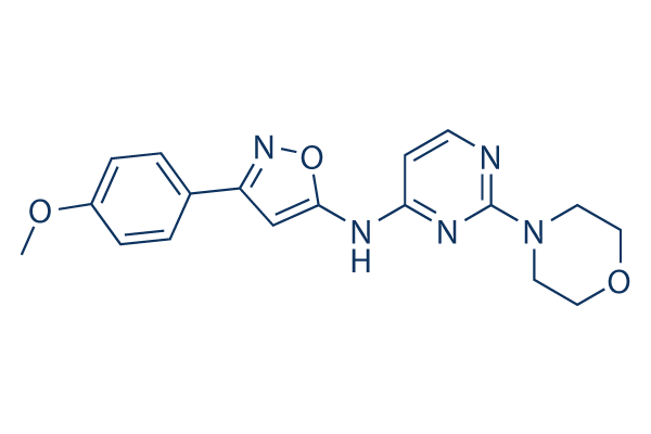 BO-264