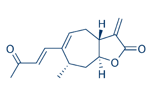 Xanthatin