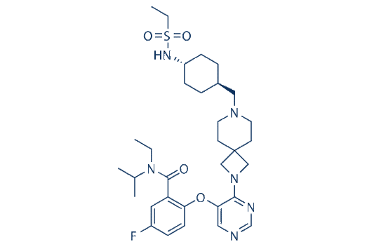 SNDX-5613 (Revumenib)