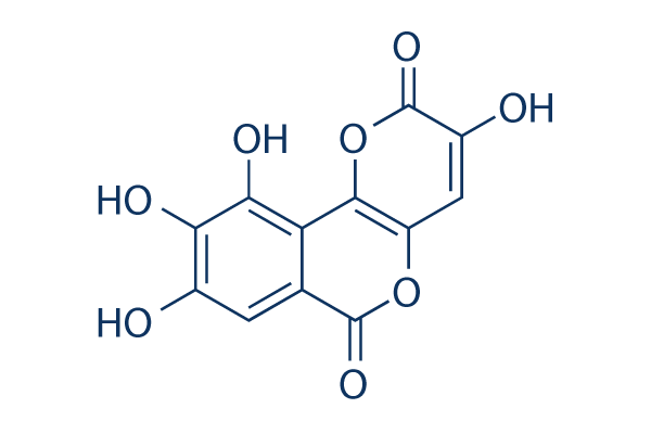 Galloflavin