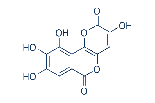 Galloflavin