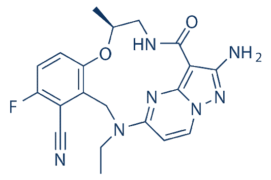 Elzovantinib (TPX-0022)