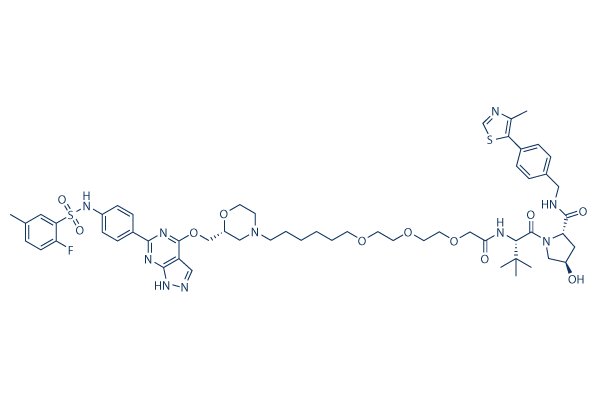 PROTAC SGK3 degrader-1