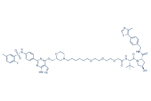 PROTAC SGK3 degrader-1