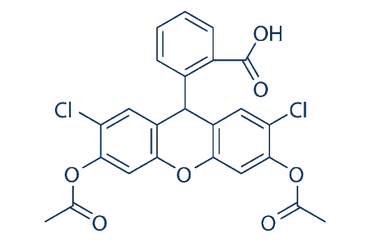 H2DCFDA (DCFH-DA)