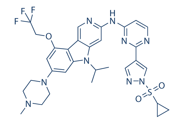 CH7233163