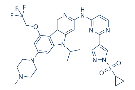 CH7233163