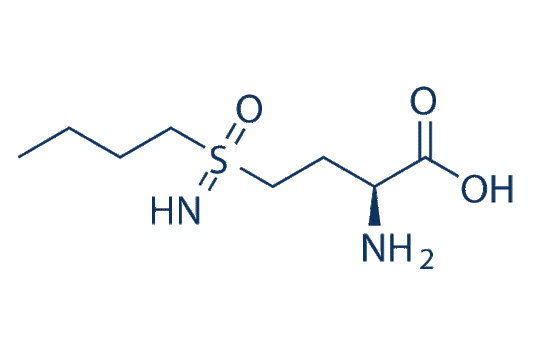 L-Buthionine- (S,R)-sulfoximine (L-BSO)
