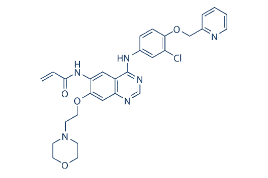 Tuxobertinib (BDTX-189)