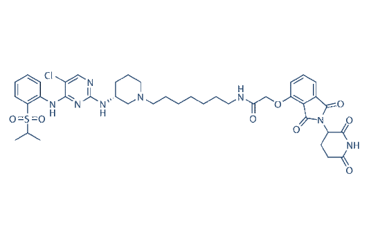 BSJ-4-116