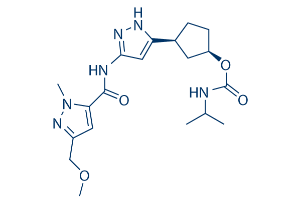 Tagtociclib (PF-07104091)