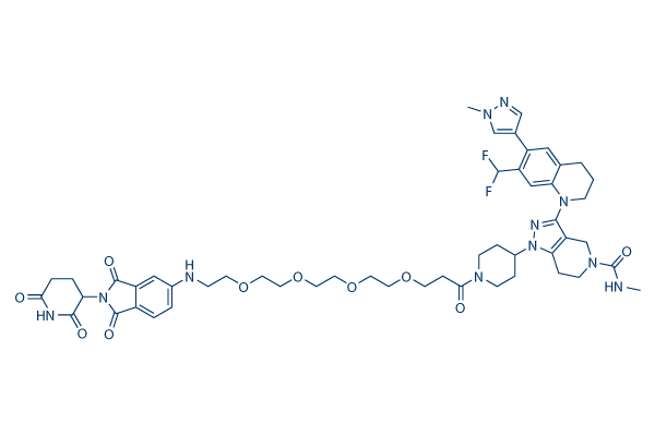 dCBP-1