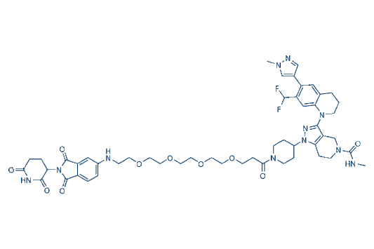 dCBP-1