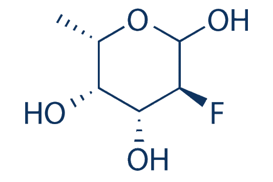 SGN-2FF