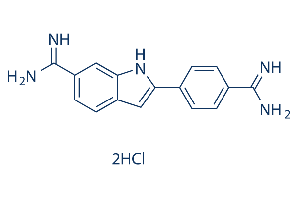 DAPI Dihydrochloride