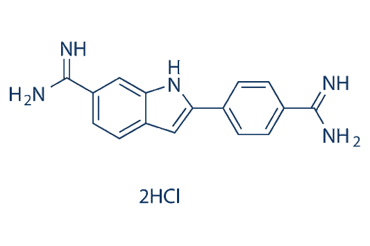 DAPI Dihydrochloride