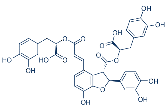 Salvianolic acid B