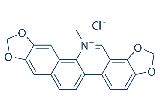 Sanguinarine chloride