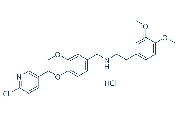 SBE 13 HCl