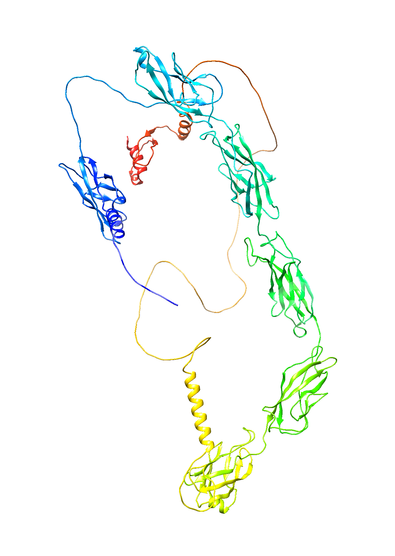 Desmocollin-2 (DSC2) (Extracellular) (Human) Antibody