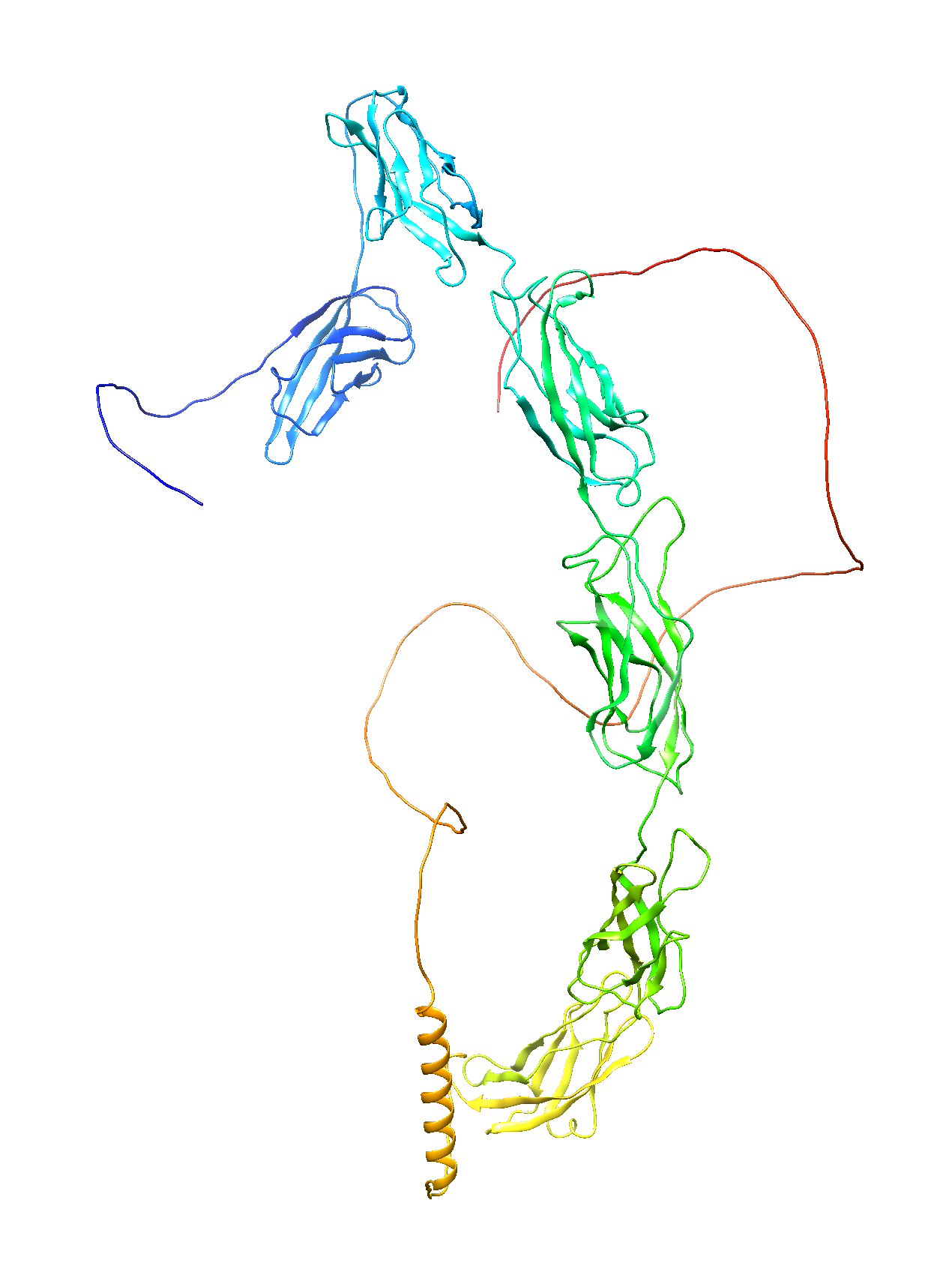 Desmocollin-1 (DSC1) (Extracellular) (Human) Antibody