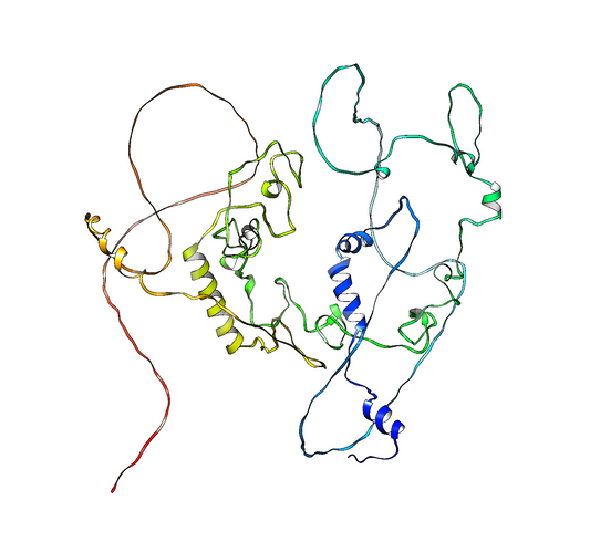 ZCCHC7 (Human) Antibody - Western Blot Validated