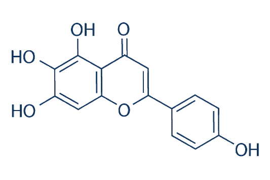 Scutellarein