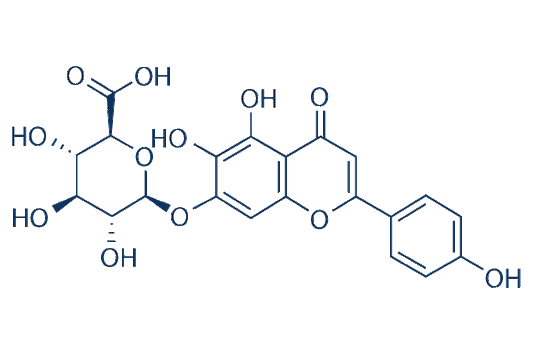Scutellarin