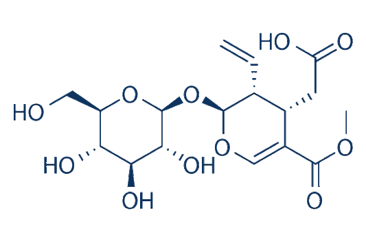 Secoxyloganin