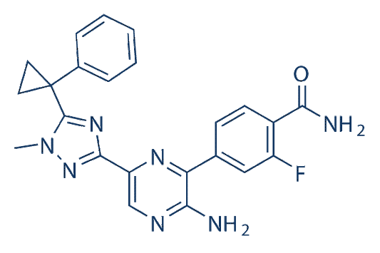 Selective PI3Kδ Inhibitor 1 (compound 7n)