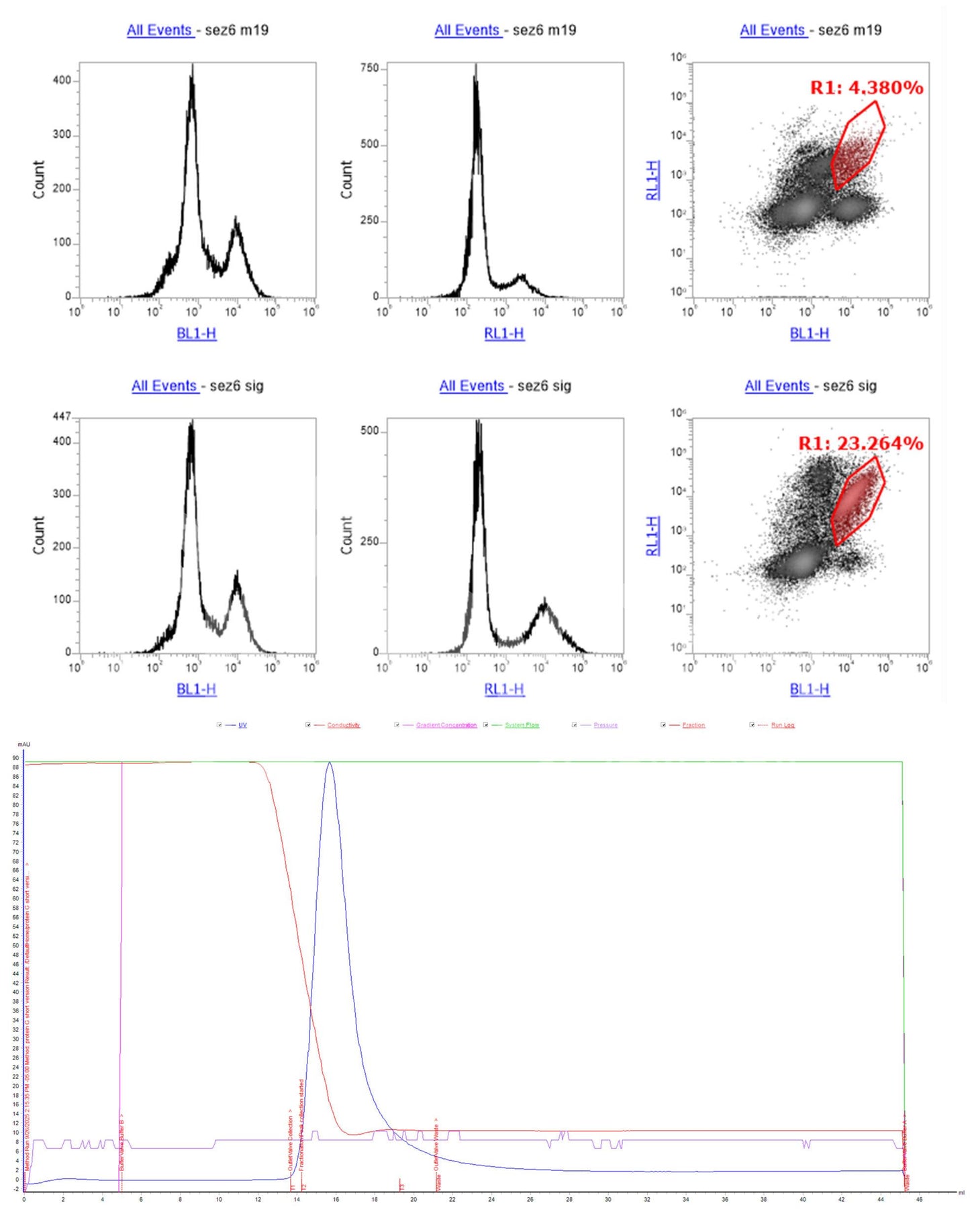 SEZ6 Monoclonal Antibody (B4 Clone) - FFPE Validated