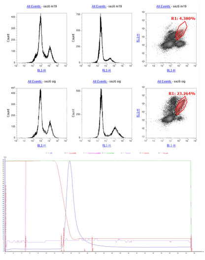 SEZ6 Monoclonal Antibody (B4 Clone) - FFPE Validated